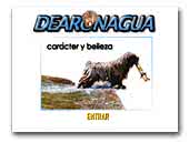 Dearonagua Perro de agua Español