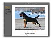 Debijante's Rottweiler