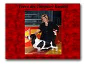 Terra dei Templari Kennel