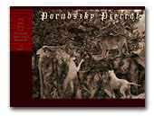 Porubszky Pierrot Dogo Argentino
