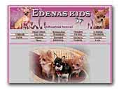 Edens Kids chihuahua
