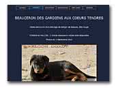 Beauceron des Gardien aux Coeurs Tendres