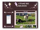 De l'étang des molosses Cane Corso