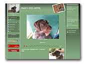 Dancy Dog Hotel wirehaired german pointer