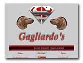 Allevamento amattoriale bassotti Gagliardo's