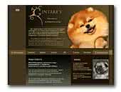 Kennel Gintare's Keeshond & Pomeranian
