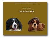 Golden Styria Bernese Mountain Dog