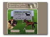 Haras de Marmaria - Mastines del Pirineo