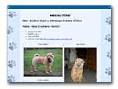 Hoppety-Pei Shar-Pei