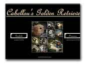 Cabellou's Golden Retriever