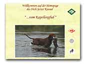  Irish Setter Kennel ... vom Kapellenpfad