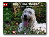 Irish Wolfhound from Starstone
