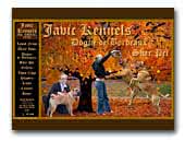 Javic Kennels