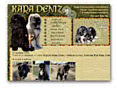 Kennel of Newfoundland Dogs and Caucasian Mountain Dogs Kara Deniz