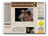 Kennel Jacobsson Shih tzu