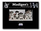 Kennel Madigen's