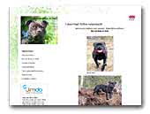 My Live Moon in Staff - Staffordshire bull terrier