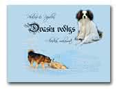 Dvasių vedlys