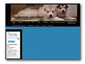 malamute-excellent.jimdo.com
