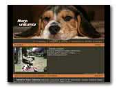 Mano Unikumas Beagle kennel