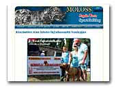 Moloss kennel japanese tosa inu