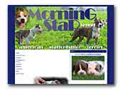 Morning Star Kennel