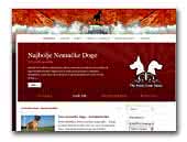 Atlantida de Montenegro Great Dane
