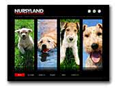 Nursyland