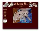 Of Roman Hill Jack Russell Terrier