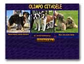 Kennel Olimpo Citadele