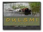 Oulsmi Labradors & Border Terriers