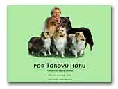 pod Borovú horu Collie Rough, Shetland Sheepdog