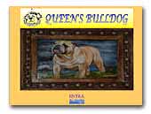 Queen's Bulldog