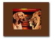 Ayene Kampala Rhodesian Ridgeback & Whippets