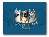 Silver Luck FCI