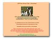 SOS Saint Bernard Dogs