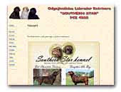 Southern Star labradors