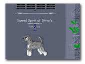 Schnauzer Kennel Spirit of Shiva's