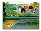 Plush magic of the nature - Kennel of spitz-dog