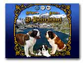 St. Pierre Saint Bernard Dog kennel