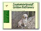 Summerquest Goldens