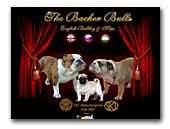 Bacher Bulls kennel