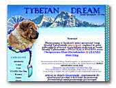 Tybetan Dream