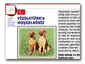 VİZSLATÜRK'e