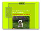 Bichon Frise und Malteser von den Weidengärten
