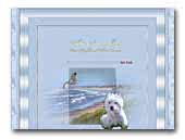 White Snowshoes West Highland White Terrier