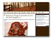 Irish Setters from Wolmar