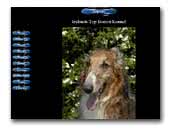 Borzoi & Whippet kennel Zafonic