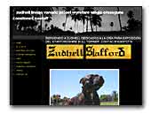 zudhell staffordshire bull terrier