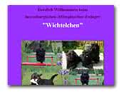 Wichtelchen - Affenpinscher